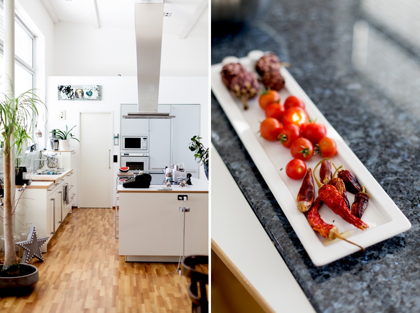 wiener-wohninnige-homestory-loft-in-wien-_0003