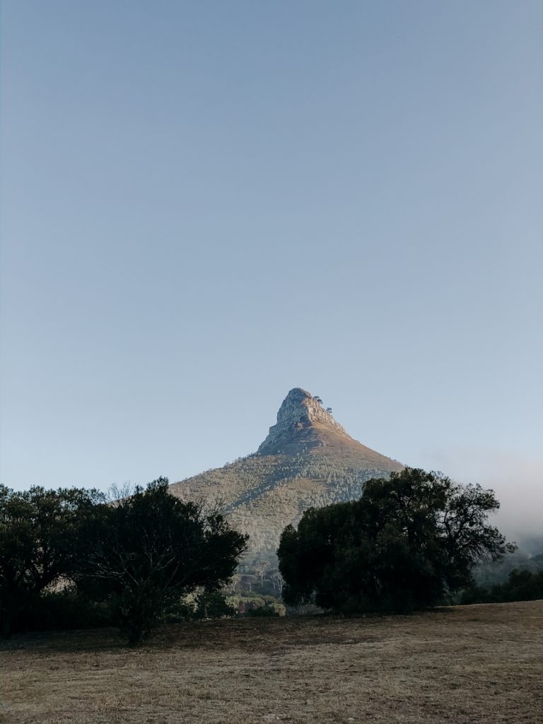 Lion's Head Wanderung bei Sonnenaufgang , Kapstadt Reisebericht Südafrika