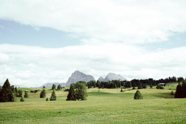Travelguide Südtirol Wiener Wohnsinn