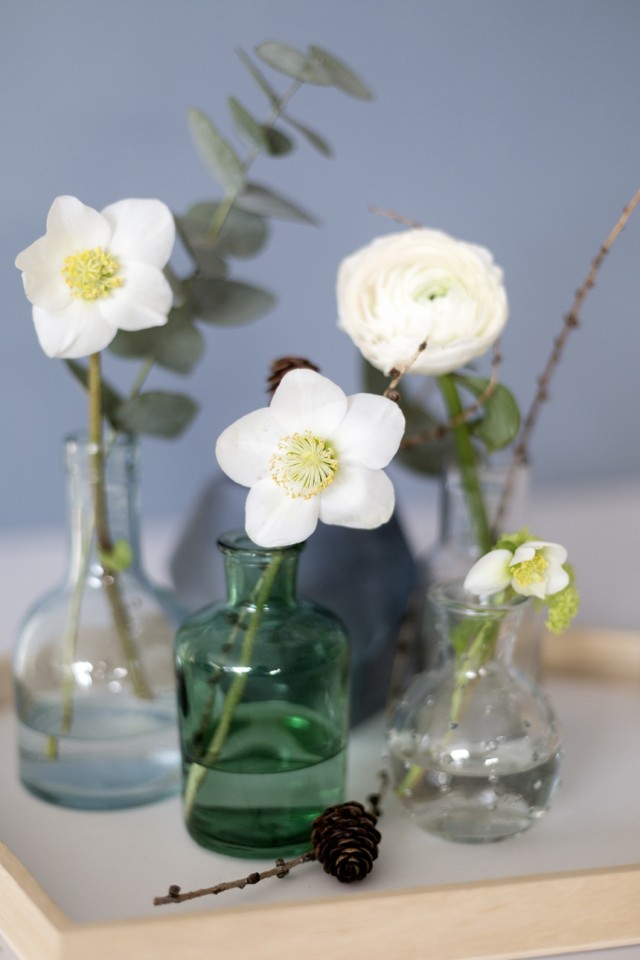 eine blaue Wand für das WohnzimmerWiener Wohnsinn