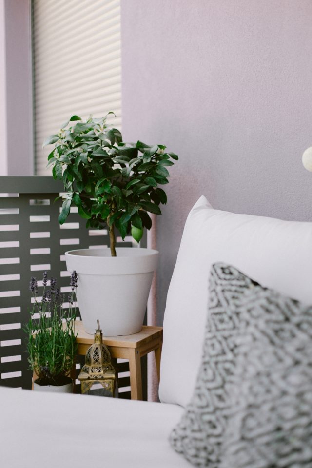 Balkon Inspirationen - Schöne Ideen für deinen AußenbereichWiener Wohnsinn