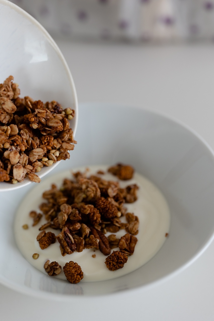 crunchy Mehrkorn Granola ohne Zucker