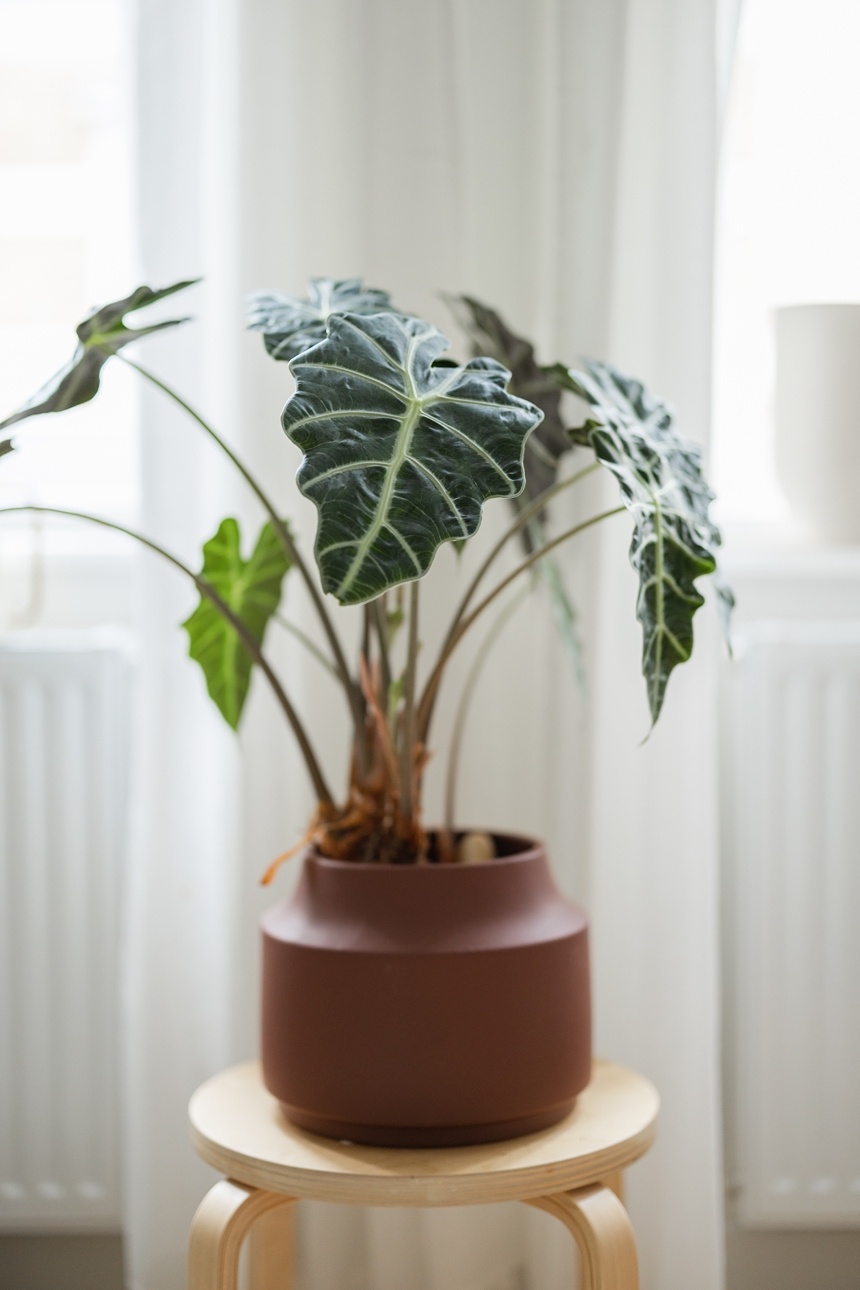 Wiener Wohnsinnige Homestories von Melanie Kuglitsch, Interior Bloggerin & Stylistin